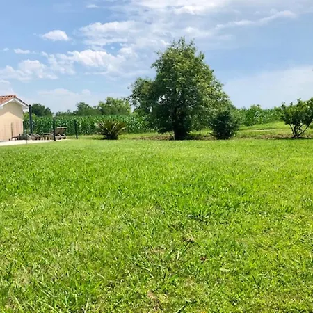 D'andriou Holiday home Peyrehorade